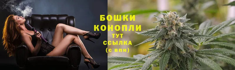 Бошки марихуана THC 21%  закладки  Кудымкар 